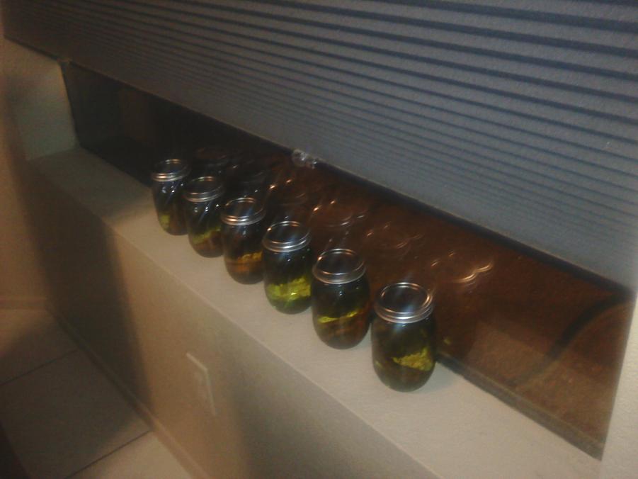 Name: 1009132005(1).jpg
Views: 208
Size: 44.7 KB