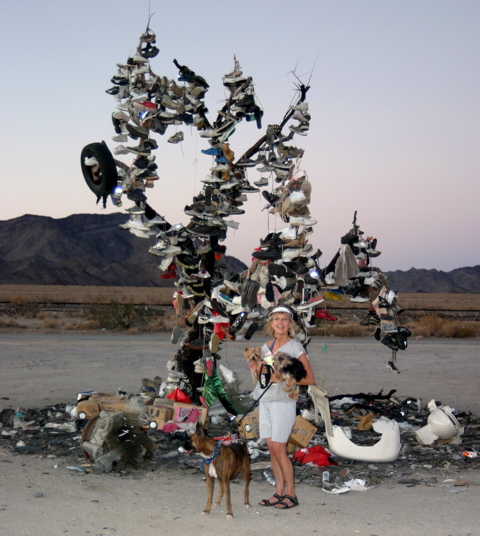 Name: IMG_0213 copy.jpg
Views: 211
Size: 133.4 KB