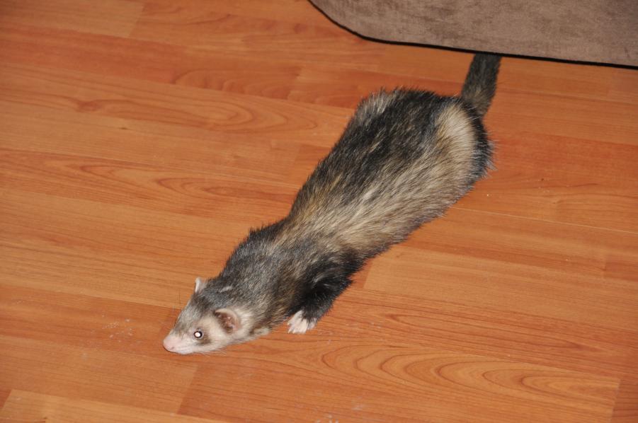 Name: DSC_0422.jpg
Views: 240
Size: 59.4 KB