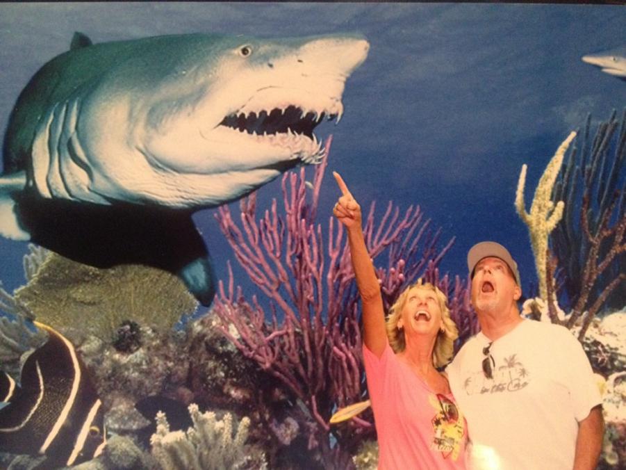 Name: ImageUploadedByTapatalk1395443763.342674.jpg
Views: 246
Size: 85.0 KB