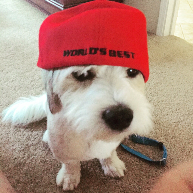 Name: ImageUploadedByTapatalk1437855832.297266.jpg
Views: 115
Size: 480.6 KB