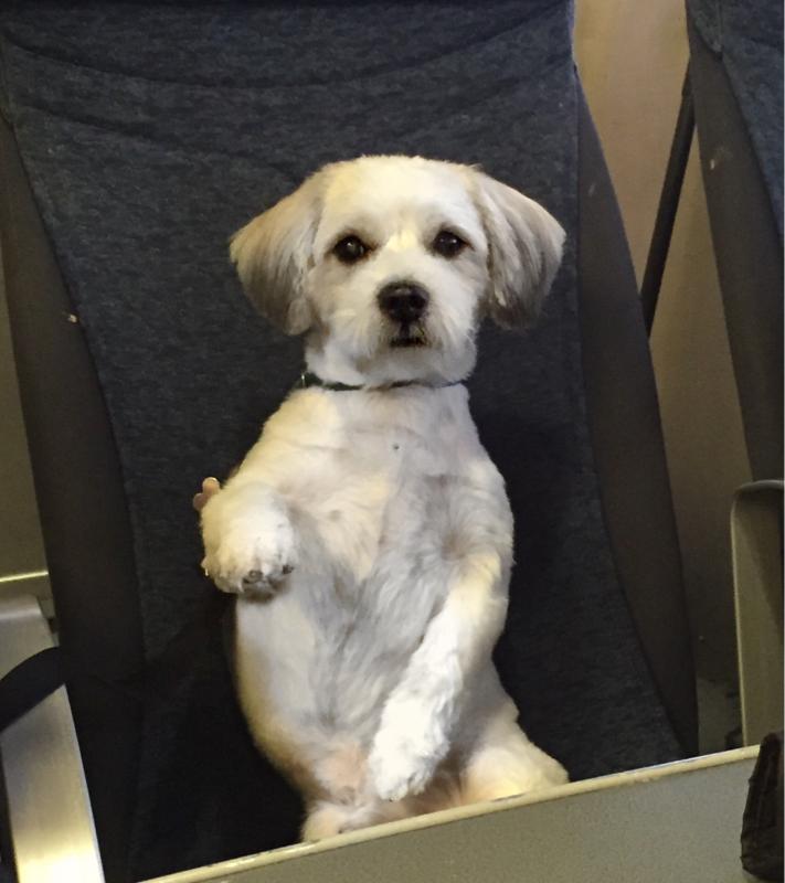 Name: ImageUploadedByTapatalk1447079937.273821.jpg
Views: 216
Size: 50.7 KB