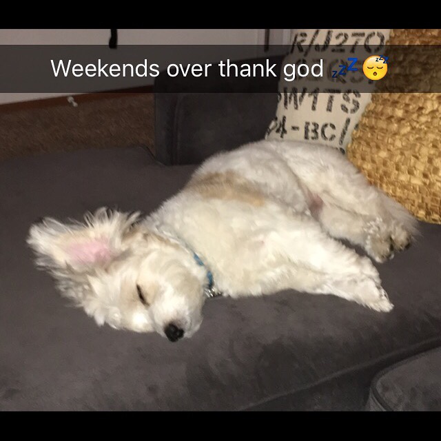 Name: Image1460346497.820183.jpg
Views: 136
Size: 96.3 KB