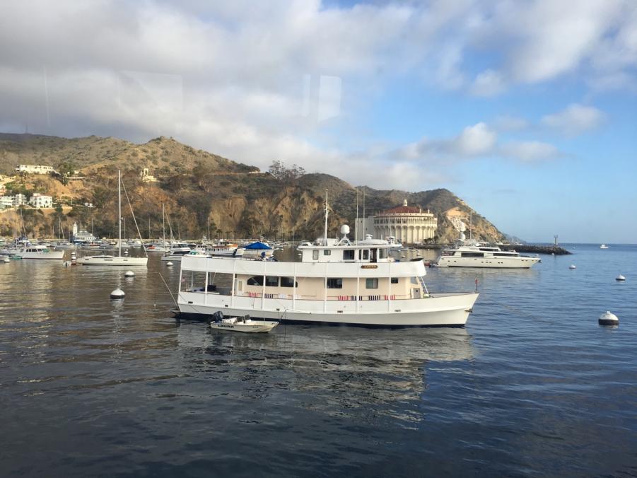 Name: IMG_1165.jpg
Views: 710
Size: 77.2 KB