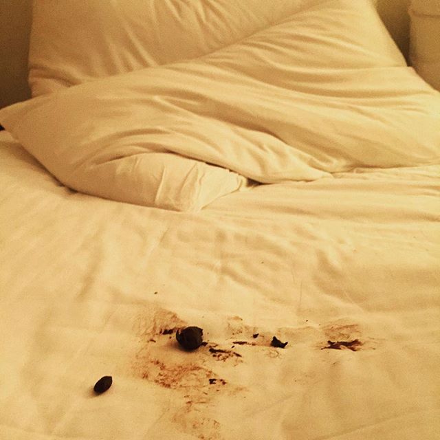 Name: bed shit.jpg
Views: 115
Size: 48.5 KB