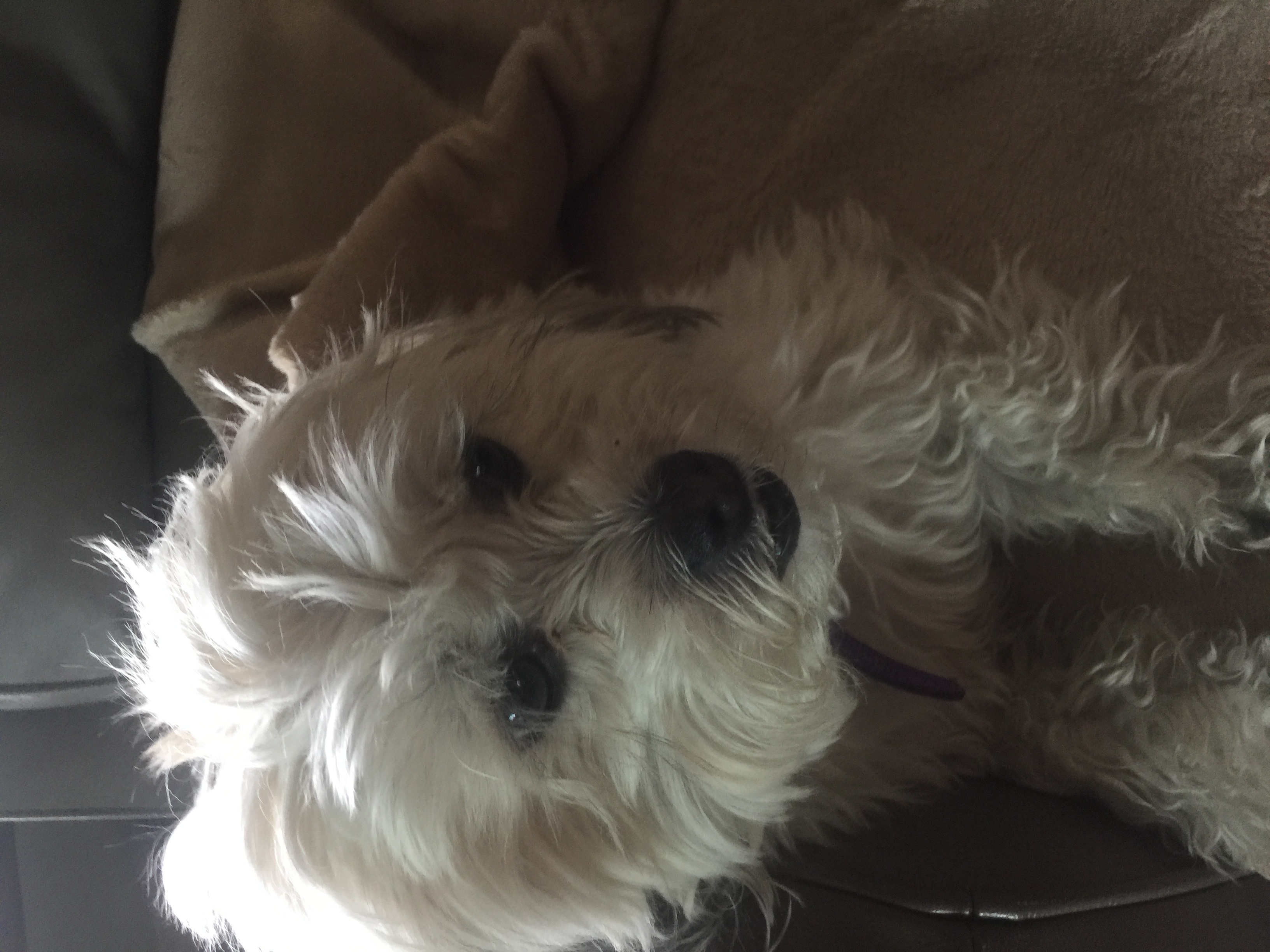 Name: 6C9C7632-C41F-4AB9-A70C-F68EC667D062.jpeg
Views: 288
Size: 1.75 MB