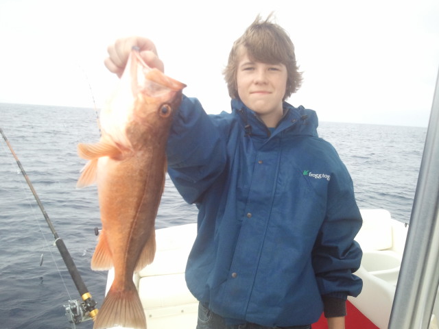 Name: 2013-08-19_13.58.46.jpg
Views: 355
Size: 69.2 KB