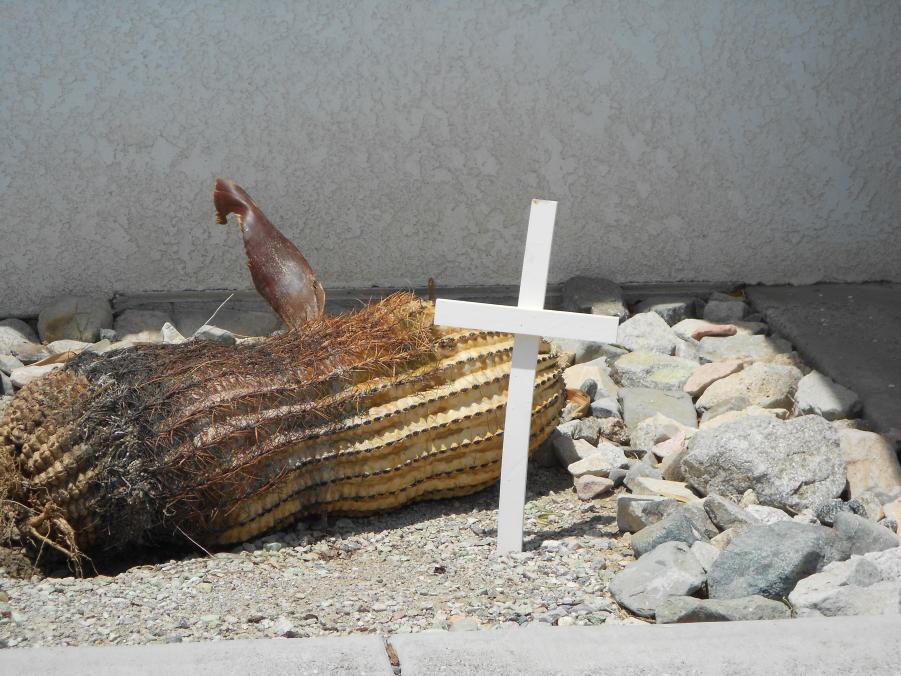 Name: RIP_Greg.jpg
Views: 2339
Size: 111.2 KB