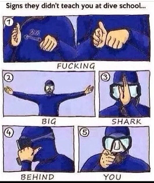 Name: ImageUploadedByTapatalk1397836392.090409.jpg
Views: 433
Size: 138.6 KB