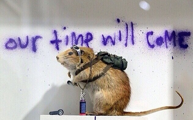 Name: ImageUploadedByTapatalk1404588139.231687.jpg
Views: 466
Size: 107.0 KB