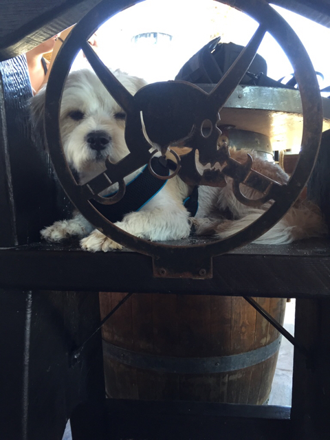 Name: ImageUploadedByTapatalk1437943301.961828.jpg
Views: 242
Size: 280.7 KB