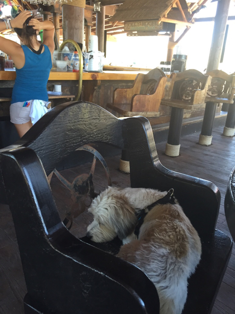 Name: ImageUploadedByTapatalk1437943315.449614.jpg
Views: 248
Size: 327.9 KB