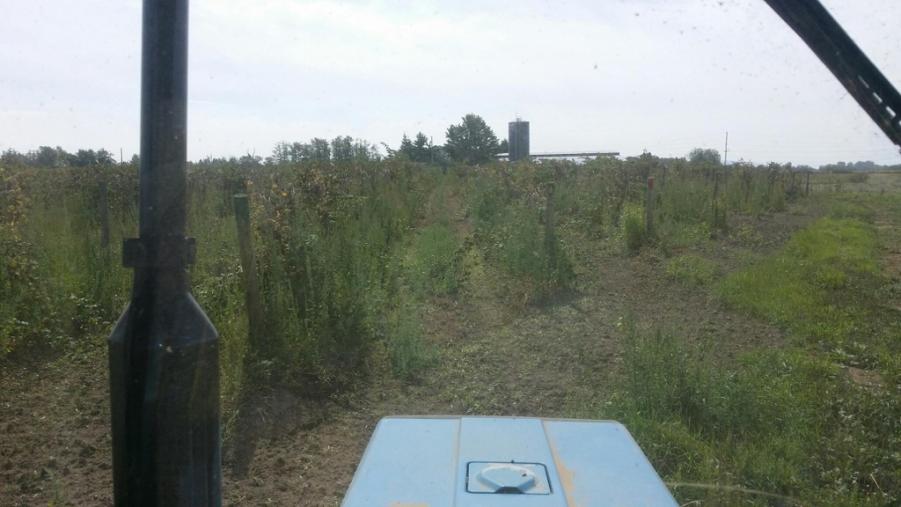 Name: ImageUploadedByTapatalk1440445496.991824.jpg
Views: 439
Size: 55.0 KB