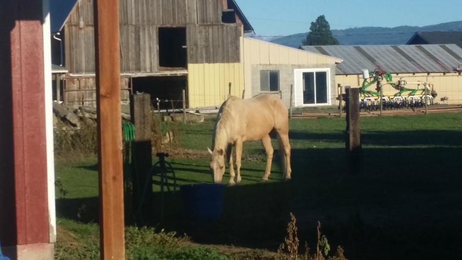 Name: 20150912_180121.jpg
Views: 397
Size: 53.2 KB