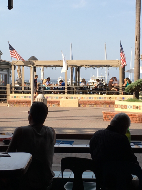 Name: Image1466555683.507492.jpg
Views: 174
Size: 310.7 KB