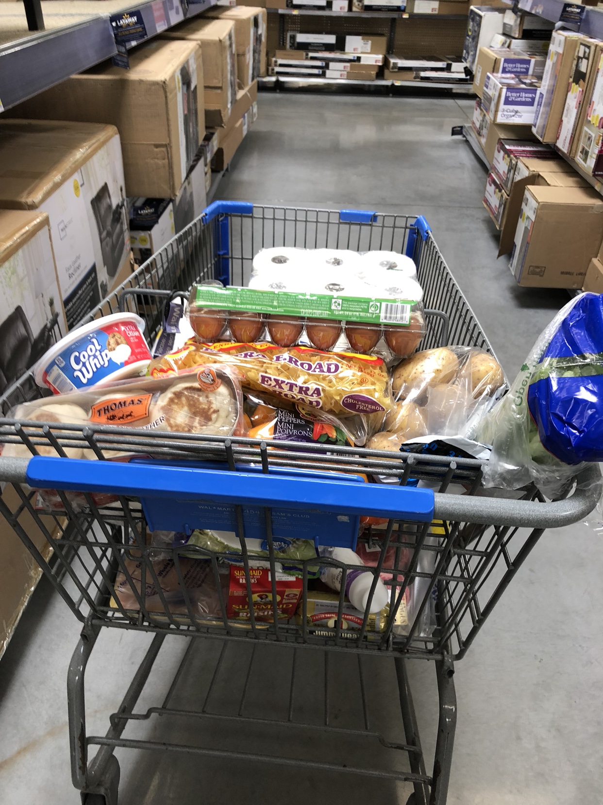 Name: IMG_8841.JPG
Views: 351
Size: 714.7 KB