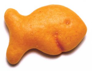 Name: goldfish cracker1.jpg
Views: 248
Size: 8.6 KB