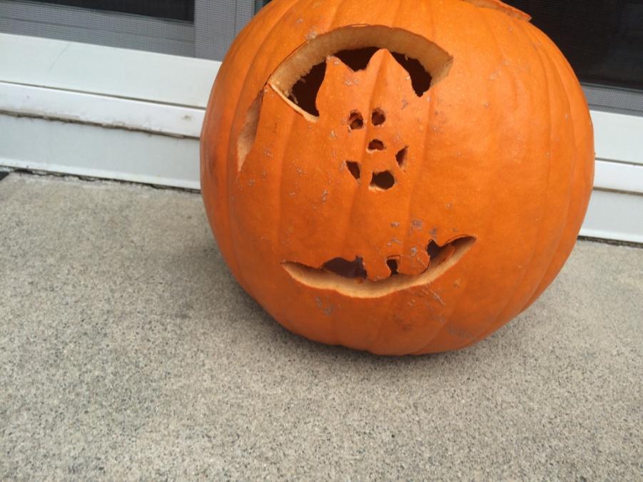 Name: ImageUploadedByTapatalk1414770470.787647.jpg
Views: 581
Size: 81.1 KB