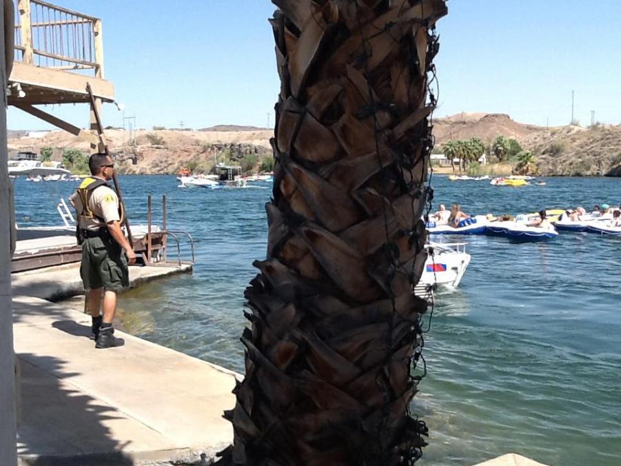 Name: ImageUploadedByTapatalk1402178675.933650.jpg
Views: 228
Size: 91.2 KB