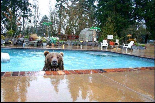 Name: 1157419_10201882084159122_274353817_n.jpg
Views: 295
Size: 56.8 KB