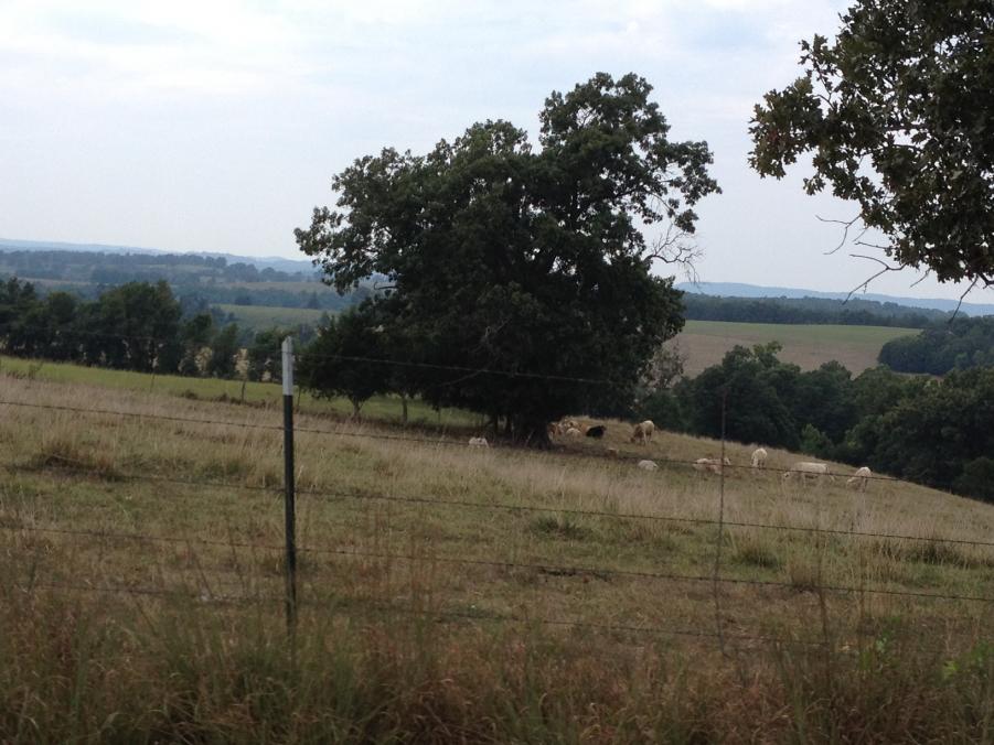 Name: ava 2.jpg
Views: 236
Size: 88.0 KB