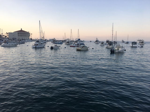 Name: Image1466476754.431765.jpg
Views: 382
Size: 332.5 KB