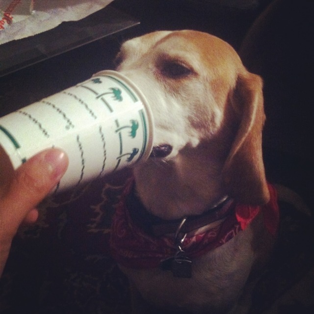 Name: ImageUploadedByTapatalk1387433356.330736.jpg
Views: 262
Size: 74.8 KB