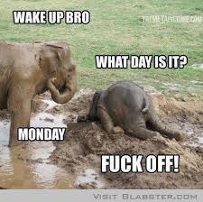 Name: Monday.jpg
Views: 209
Size: 26.8 KB