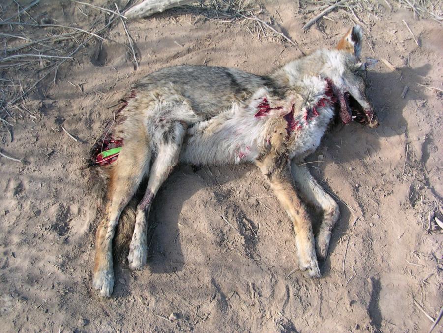 Name: tim and anita pics 264.jpg
Views: 190
Size: 143.8 KB