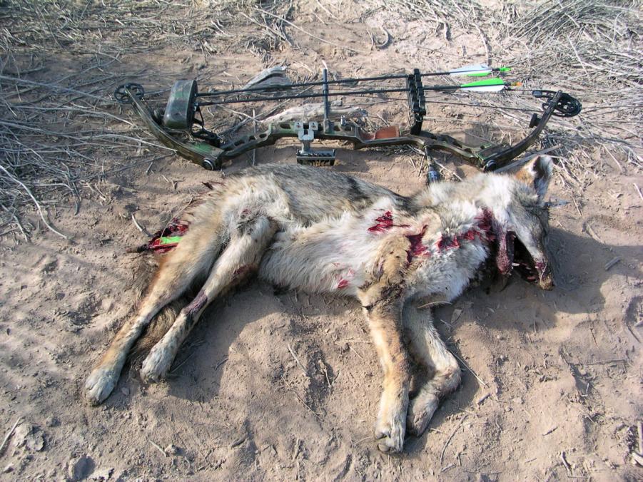 Name: tim and anita pics 265.jpg
Views: 207
Size: 162.7 KB