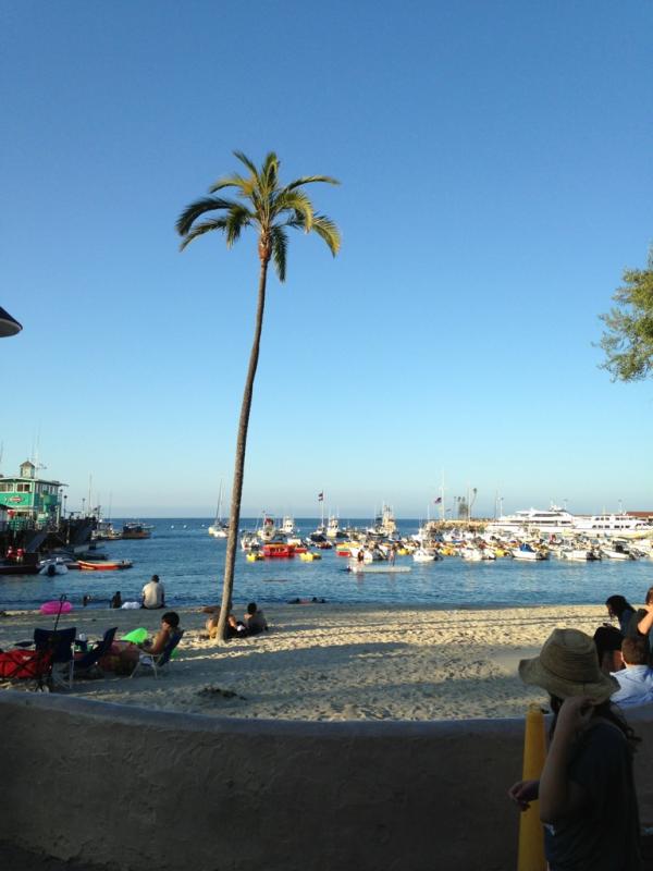 Name: ImageUploadedByTapatalk1373898880.069554.jpg
Views: 338
Size: 47.8 KB