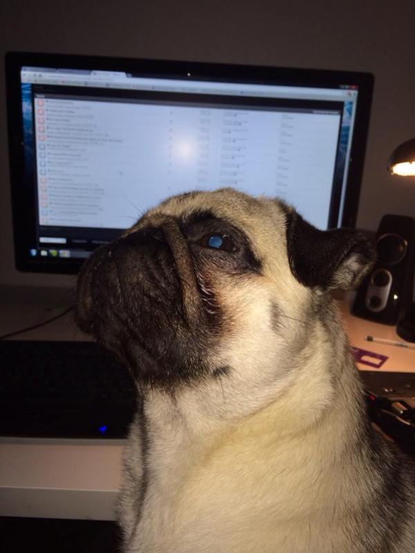 Name: ImageUploadedByTapatalk1388188432.062065.jpg
Views: 265
Size: 48.9 KB