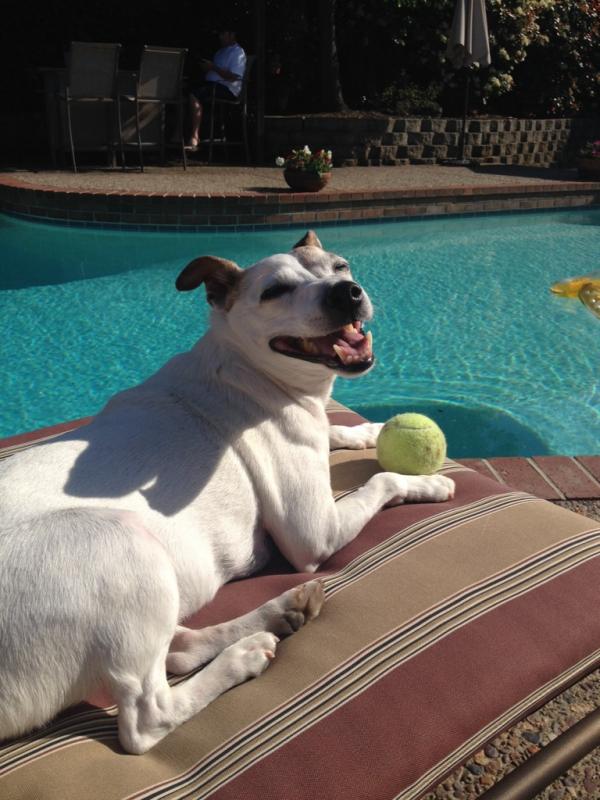 Name: ImageUploadedByTapatalk1396835456.514075.jpg
Views: 274
Size: 70.1 KB