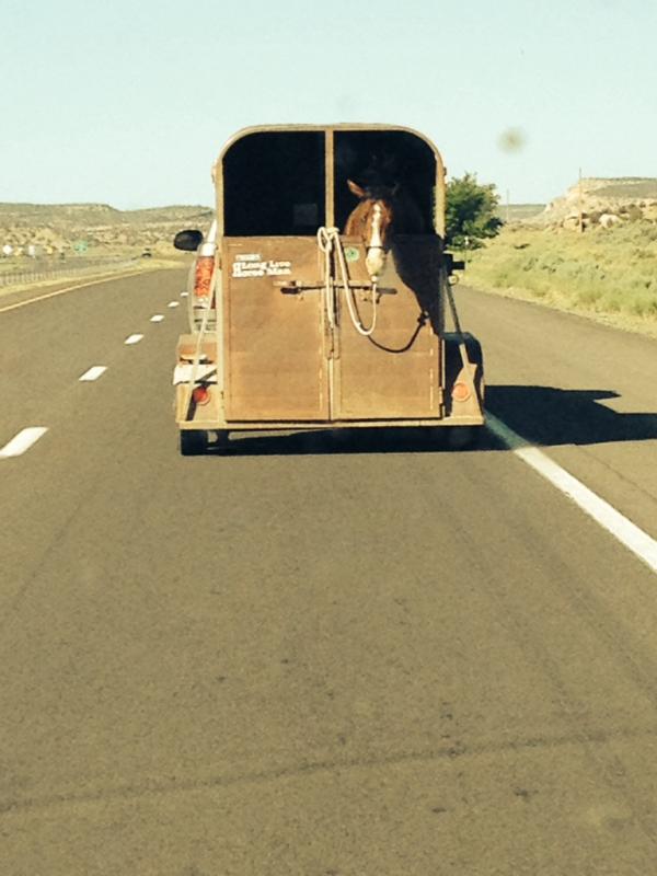 Name: ImageUploadedByTapatalk1403362543.670337.jpg
Views: 259
Size: 50.4 KB