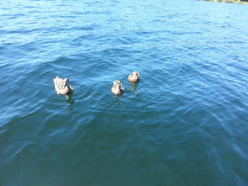 Name: uploadfromtaptalk1404240501873.jpg
Views: 303
Size: 61.5 KB