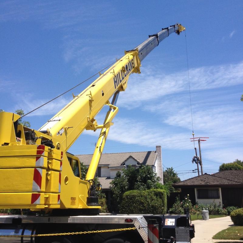 Name: hill crane.jpg
Views: 218
Size: 84.1 KB