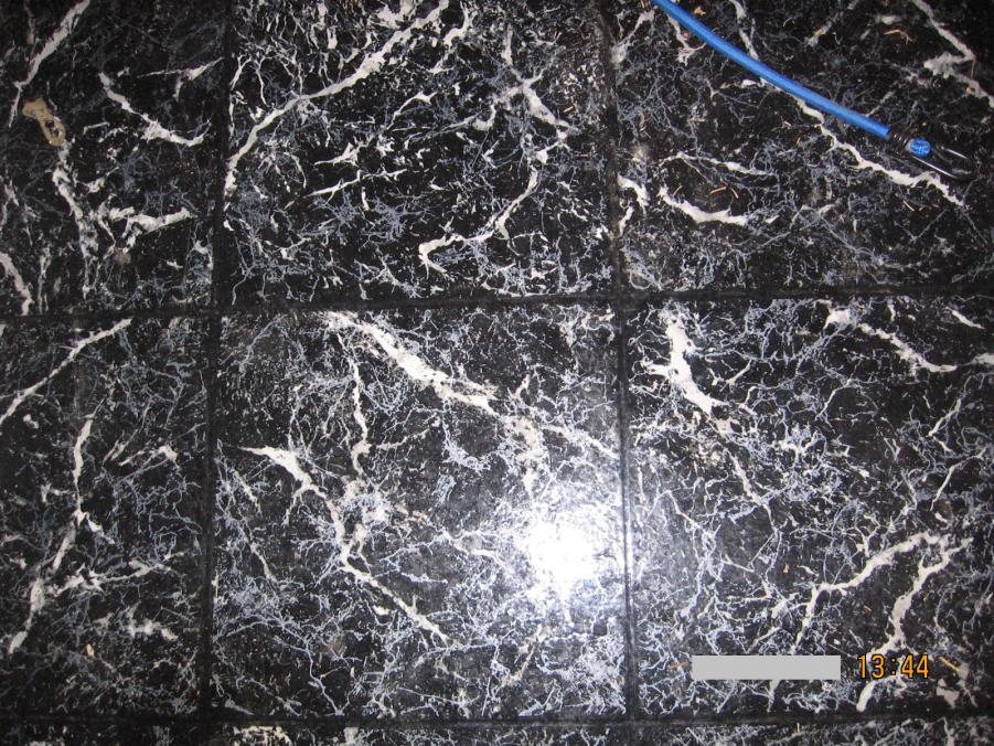 Name: IMG_0223.jpg
Views: 4493
Size: 185.0 KB