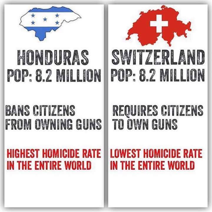 Name: guns work.jpg
Views: 574
Size: 53.1 KB