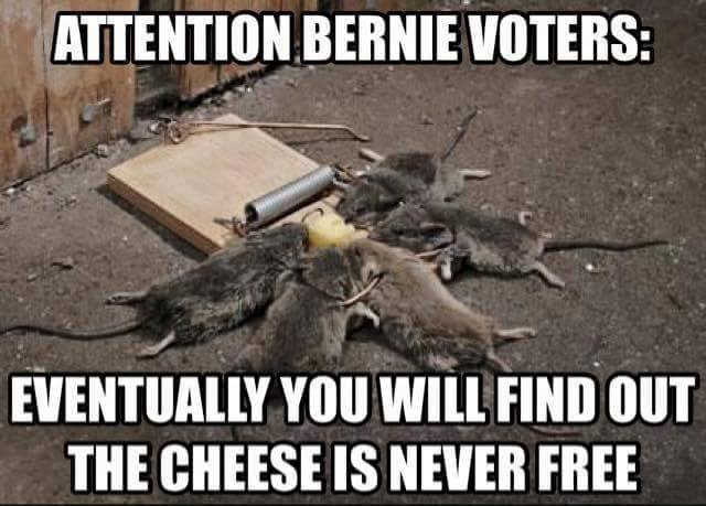 Name: Never free.jpg
Views: 331
Size: 45.6 KB