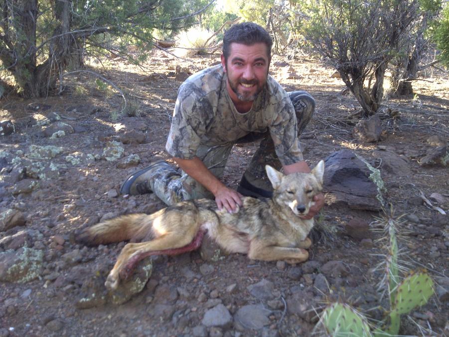Name: coyote.jpg
Views: 806
Size: 130.9 KB