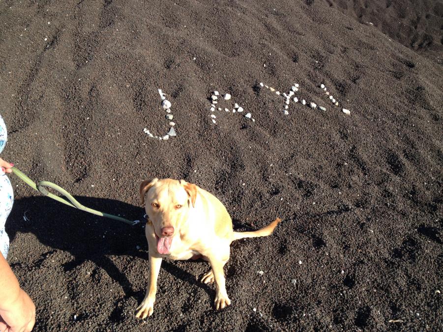 Name: 073.jpg
Views: 298
Size: 203.0 KB