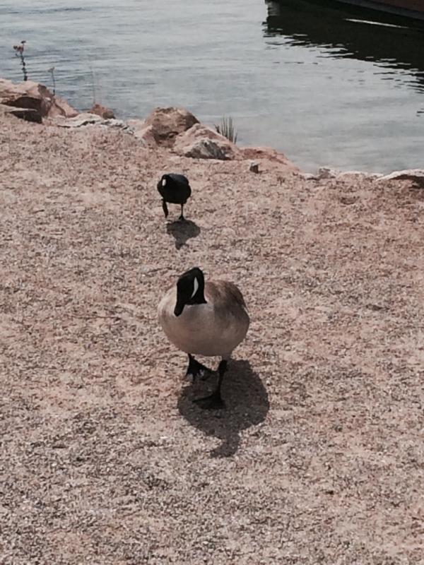 Name: ImageUploadedByTapatalk1396645470.580820.jpg
Views: 280
Size: 96.9 KB