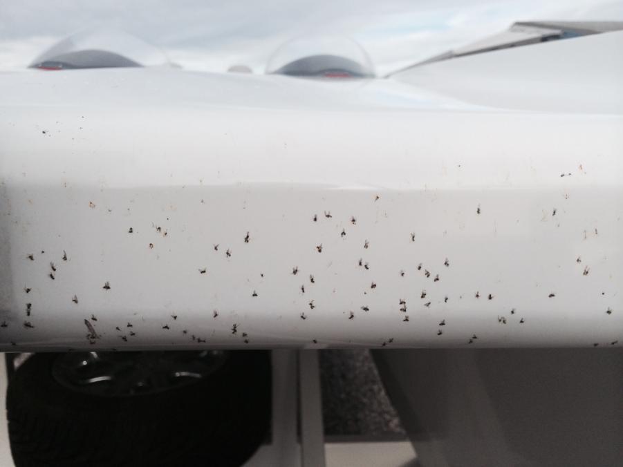 Name: ImageUploadedByTapatalk1396658951.411670.jpg
Views: 346
Size: 30.3 KB