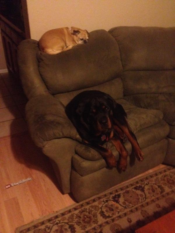 Name: ImageUploadedByTapatalk1397048048.489732.jpg
Views: 351
Size: 48.0 KB