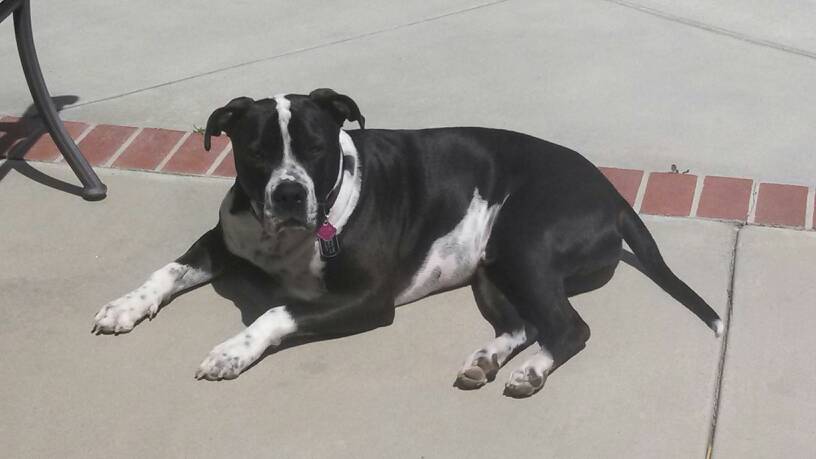 Name: uploadfromtaptalk1397571544582.jpg
Views: 292
Size: 31.1 KB