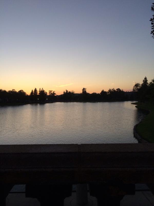 Name: ImageUploadedByTapatalk1399690199.642971.jpg
Views: 249
Size: 31.3 KB