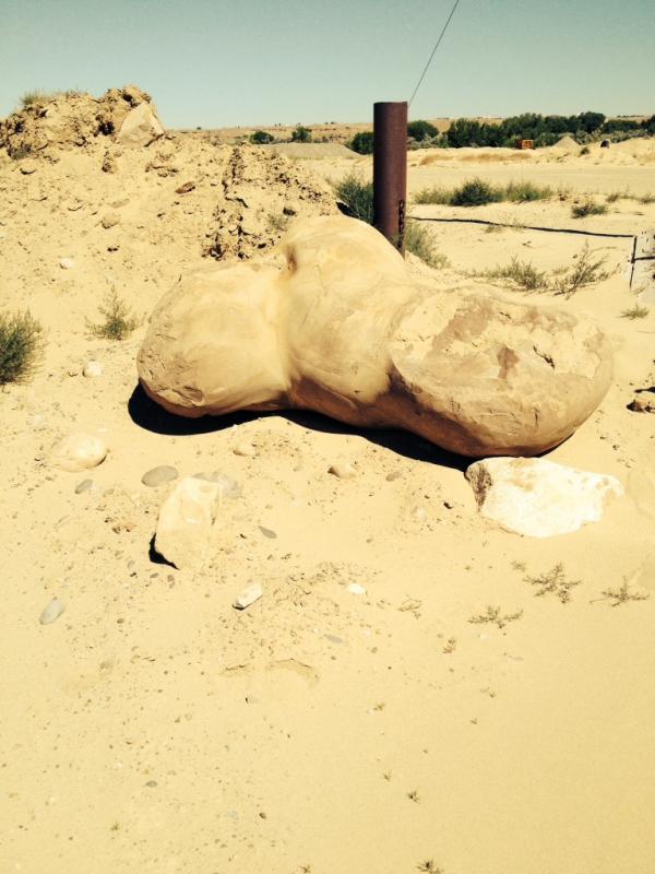 Name: ImageUploadedByTapatalk1403281792.532639.jpg
Views: 250
Size: 62.2 KB