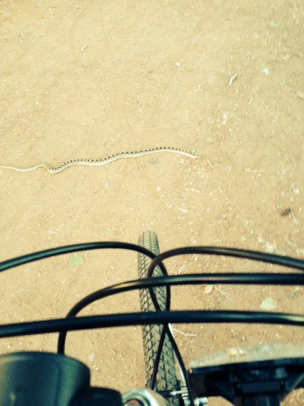 Name: ImageUploadedByTapatalk1404181631.822931.jpg
Views: 236
Size: 63.1 KB