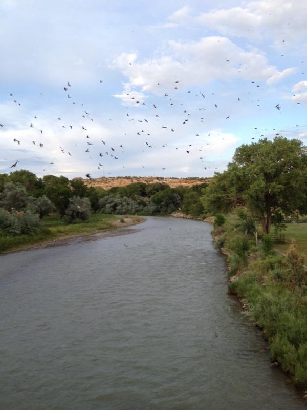 Name: ImageUploadedByTapatalk1404785252.359605.jpg
Views: 214
Size: 49.8 KB