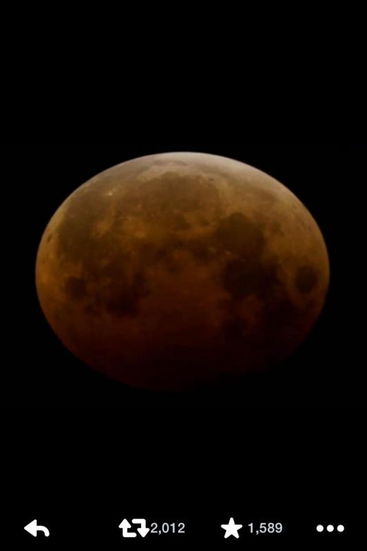 Name: ImageUploadedByTapatalk1412774316.968715.jpg
Views: 239
Size: 15.7 KB